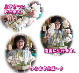 シンビジュームを配置