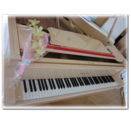 ピアノとシンビジューム